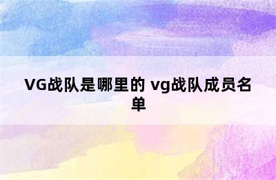 VG战队是哪里的 vg战队成员名单